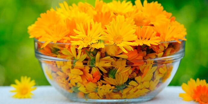 Calendula flowers to prepare an antifungal infusion